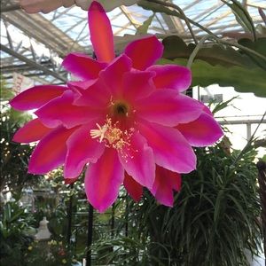 Meet your Posher, Mary